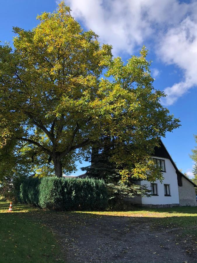Utulna Chaloupka V Krkonosich Villa Vysoké nad Jizerou Exterior foto